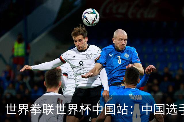 世界拳联世界杯中国站：中国选手斩获5金